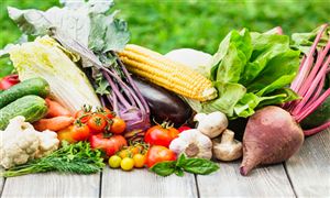 济_中研普华行业研究网CQ9电子app行业经(图4) 济_中研普华行业研究网CQ9电子app行业经(图4)